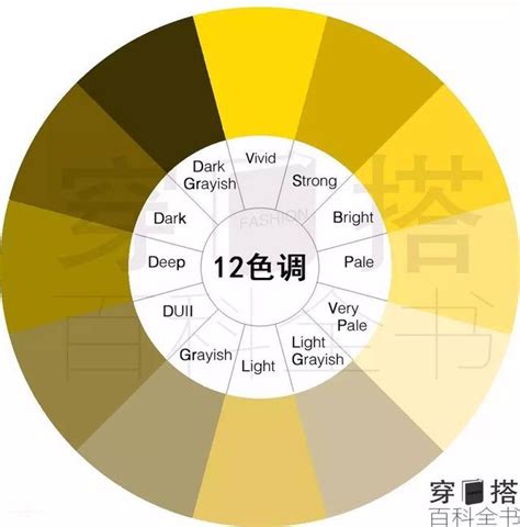 黃色系列|分類:黃色系